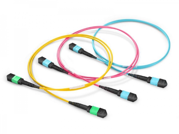 MTP/MPO Trunk Cable